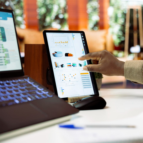Portfolio management service interface showing diversified investments, analytics charts, and performance tracking.